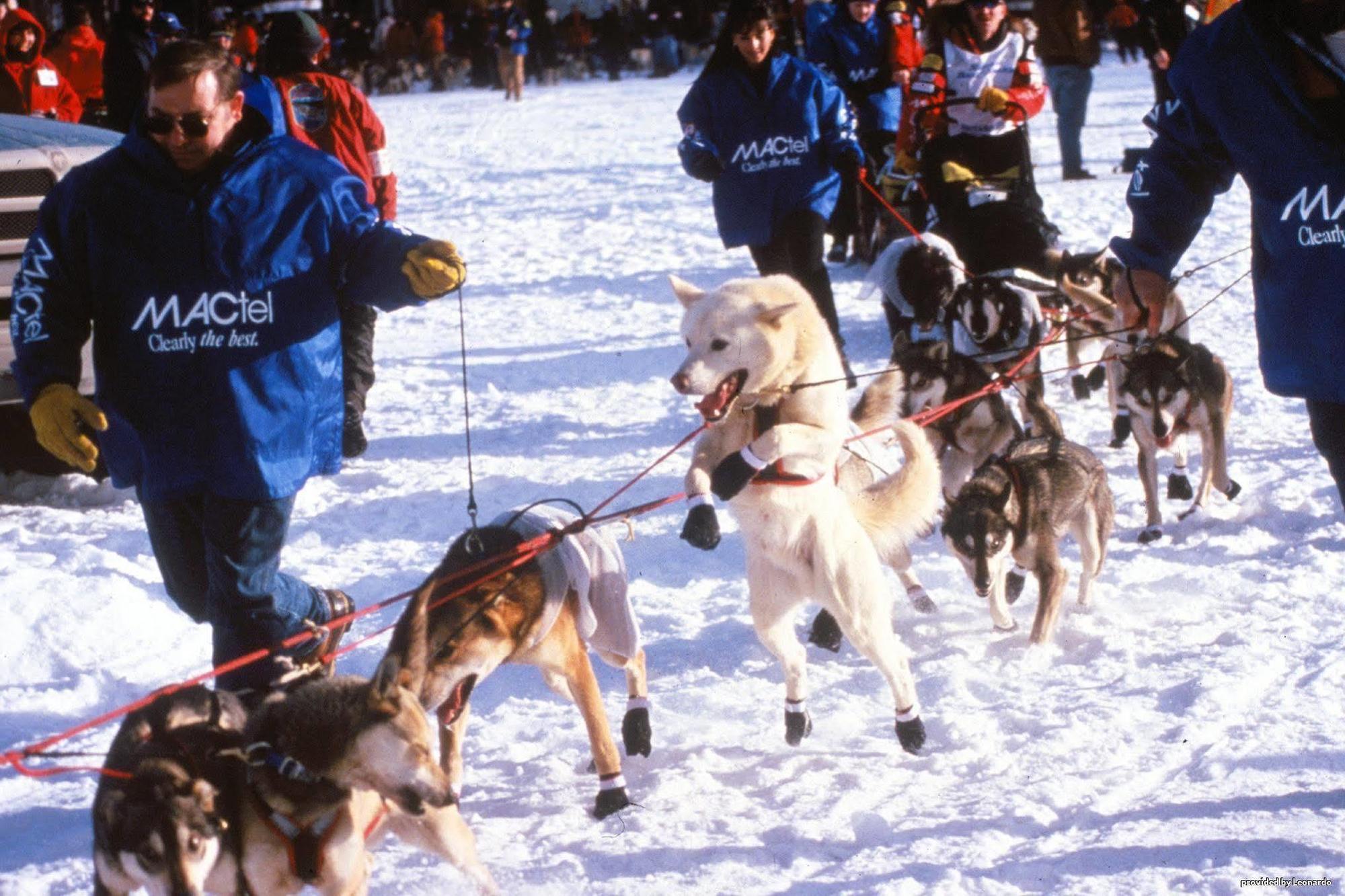 Western Lucille Wasilla